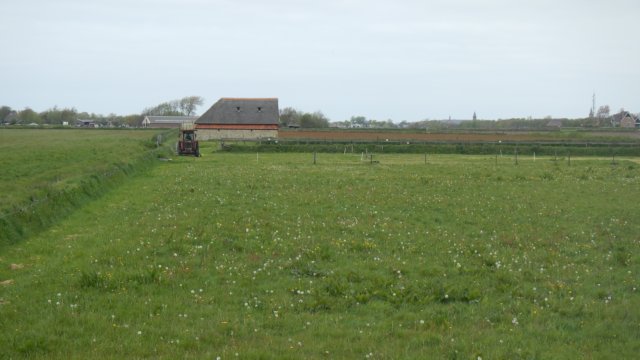 HWK Texel 2015 033.jpg